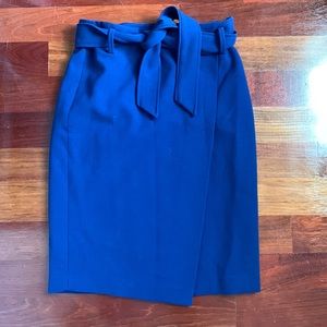 Ann Taylor Factory Skirt